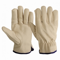 Driving Gloves (Unlined )